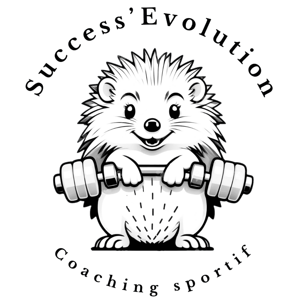 Logo Success Evolution